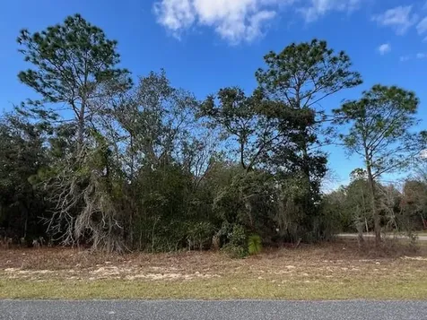 125 W Ruska Place Citrus Springs FL 34434