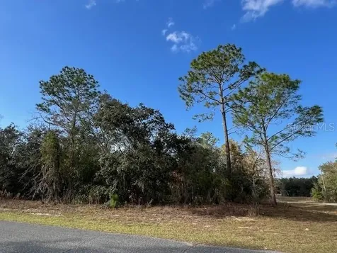 125 W Ruska Place Citrus Springs FL 34434