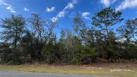 141 W Ruska Place Citrus Springs FL 34434