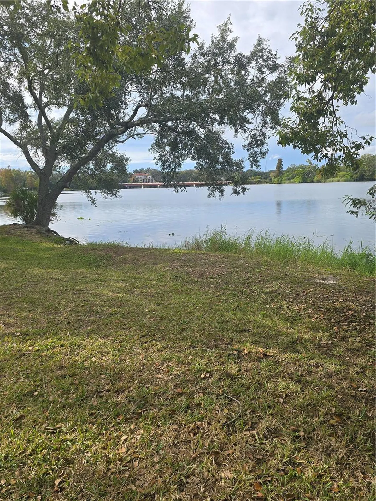 7146 E Bank Drive Tampa FL 33617