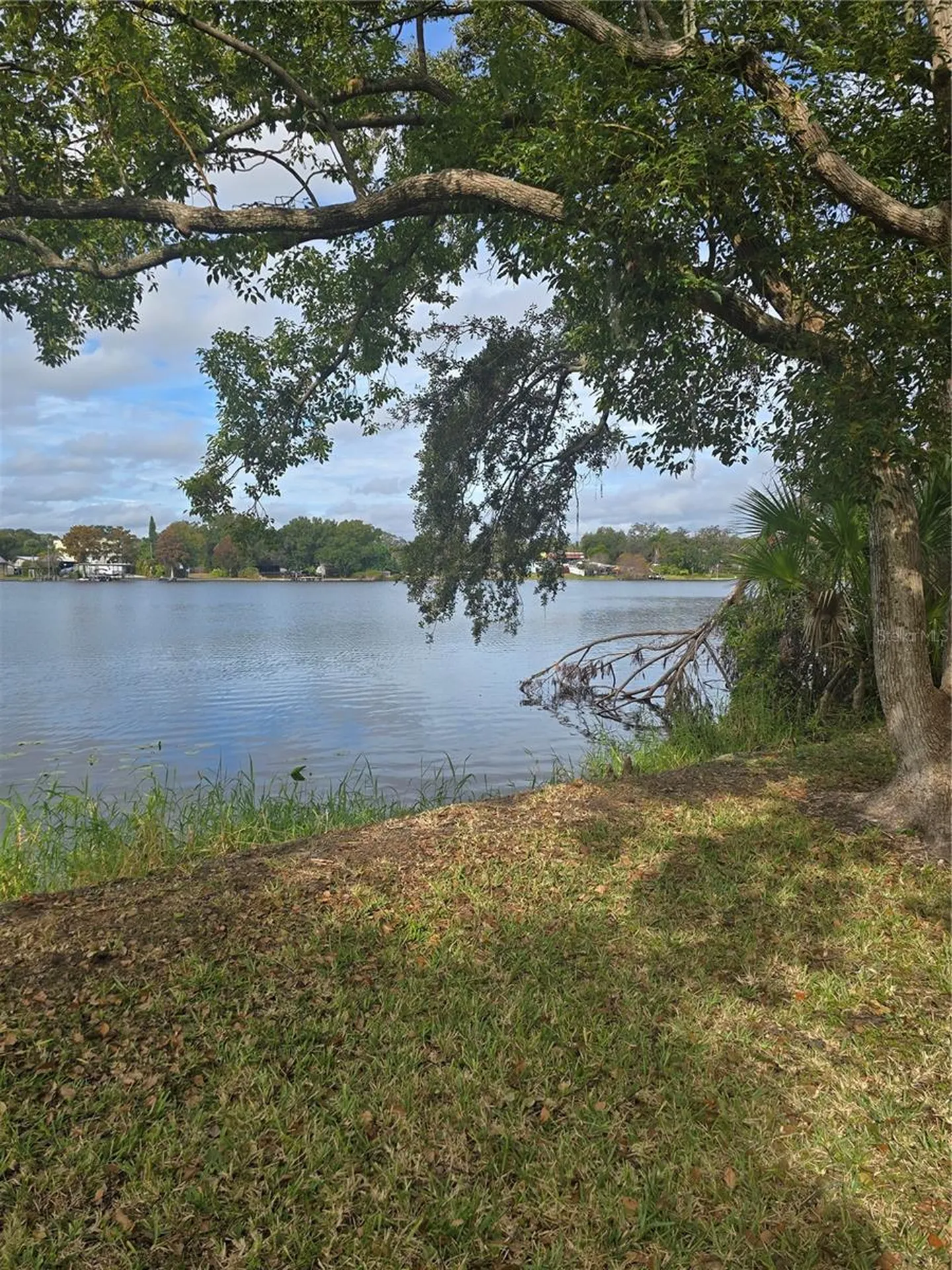 7146 E Bank Drive Tampa FL 33617