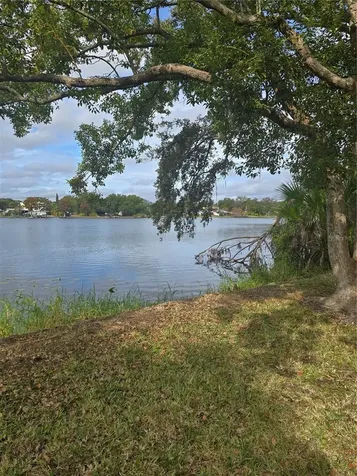 7146 E Bank Drive Tampa FL 33617