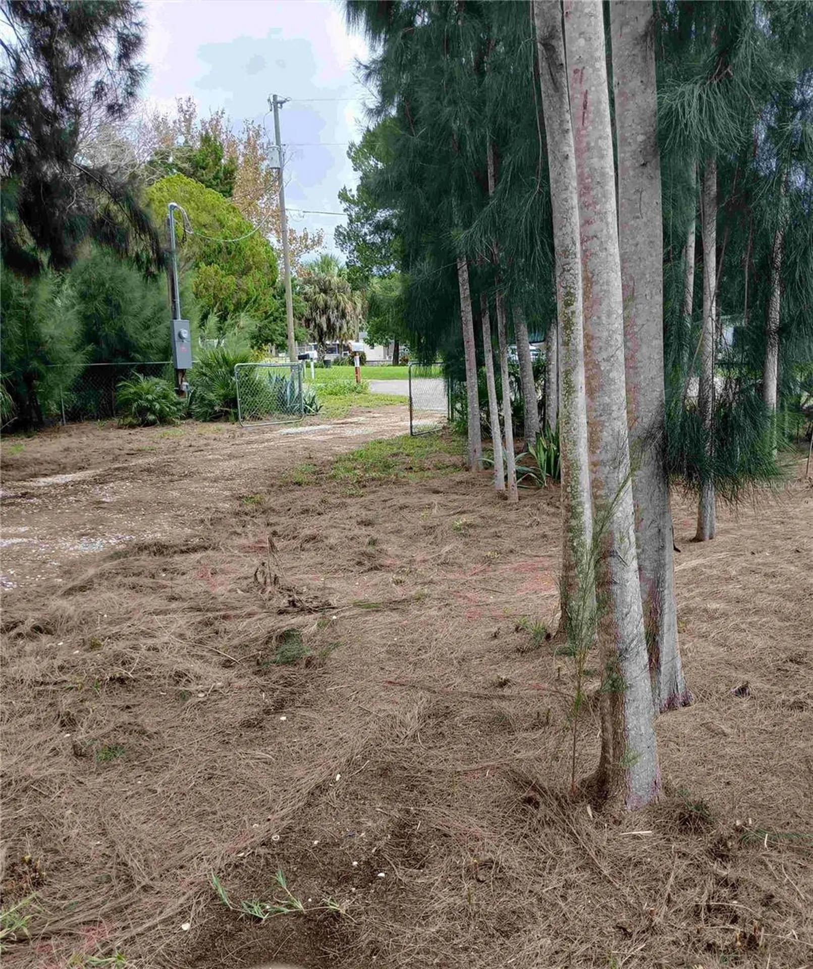 14633 Williams Lane Hudson FL 34667
