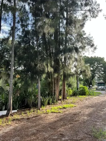 14633 Williams Lane Hudson FL 34667