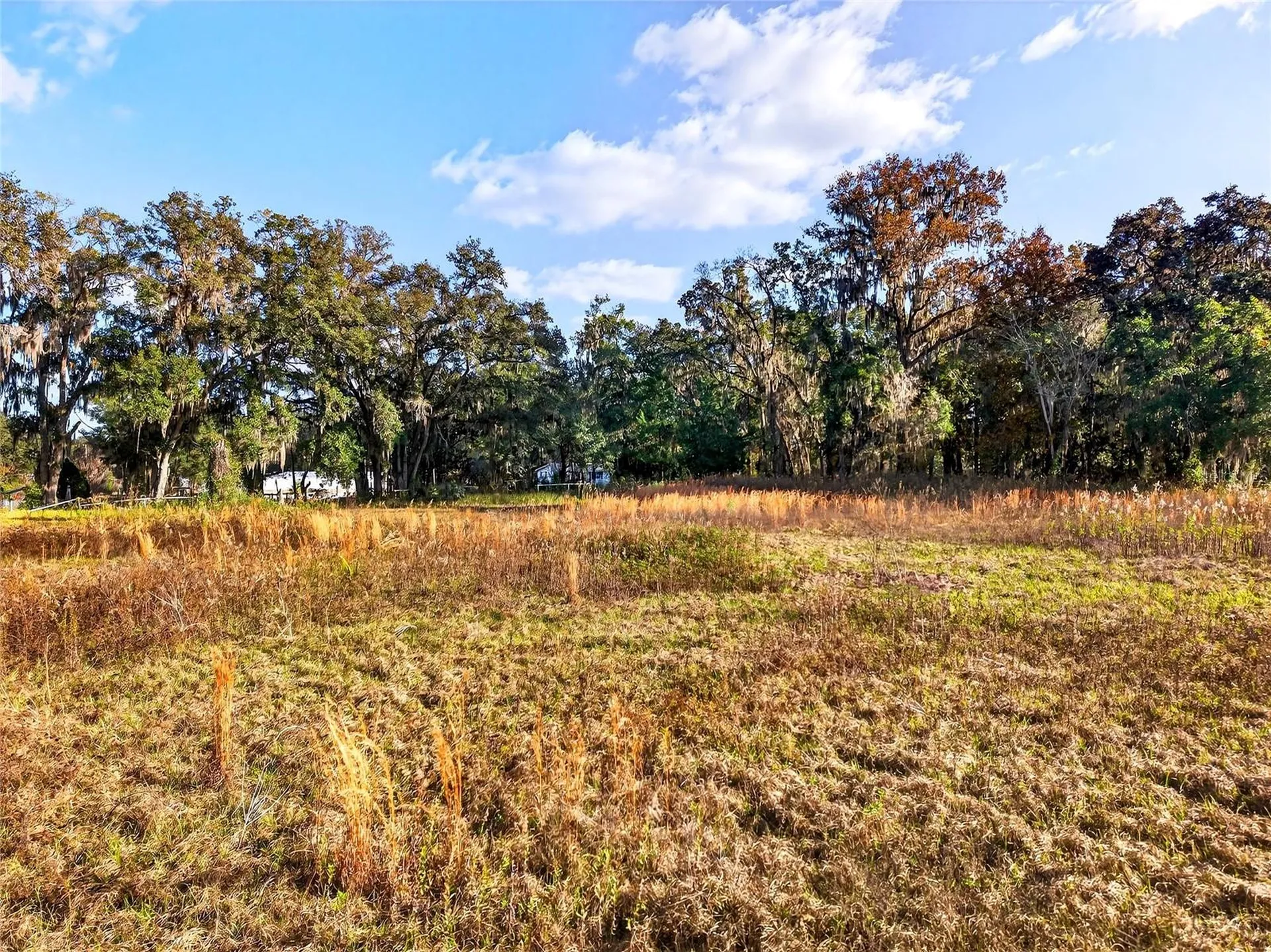 NW 30th Street Ocala FL 34482