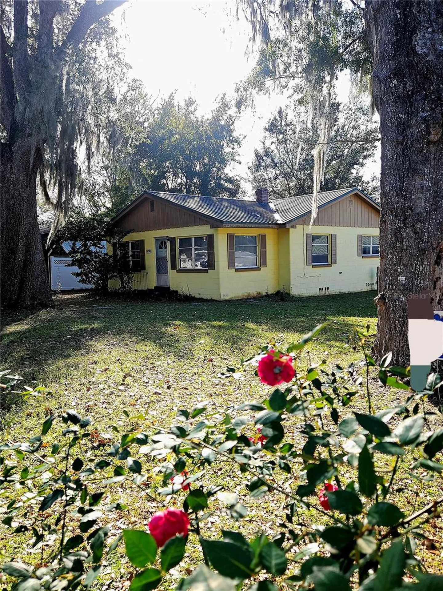 11430 SE 53rd Court Belleview FL 34420