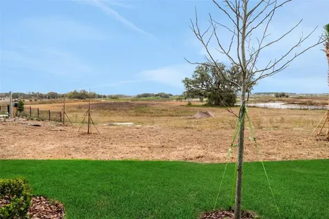 31788 Kestrel Calling Drive San Antonio FL 33576