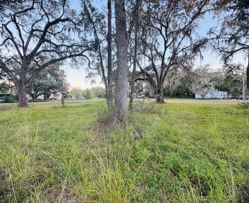 17481 Celia Avenue Brooksville FL 34604