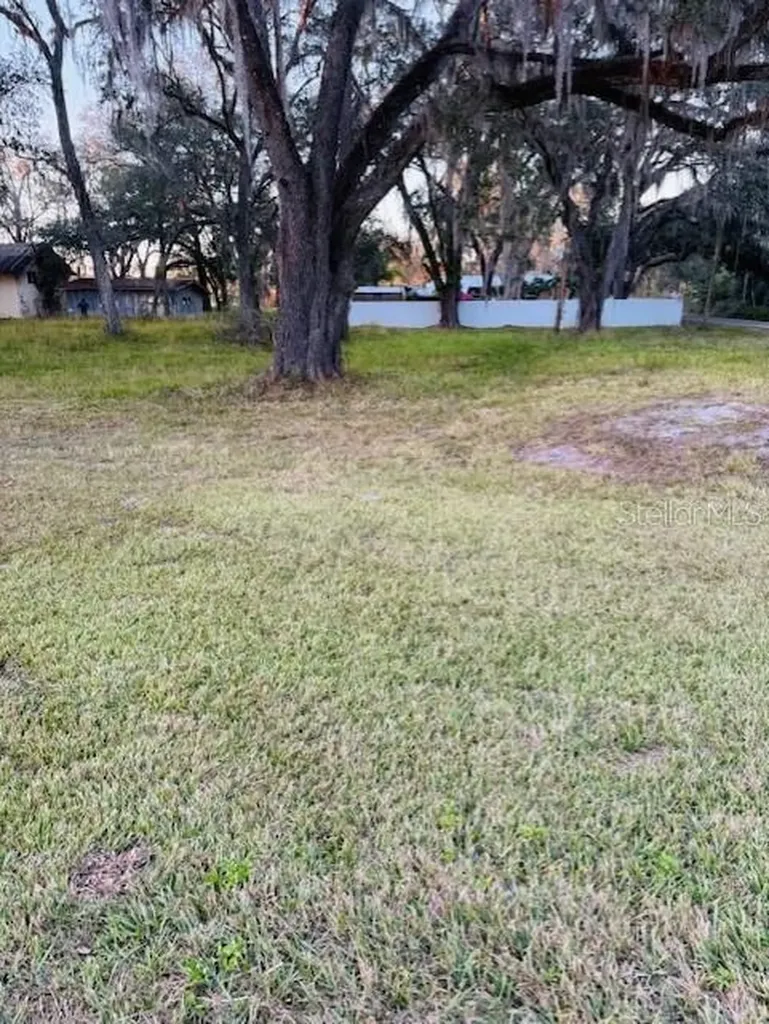 17481 Celia Avenue Brooksville FL 34604