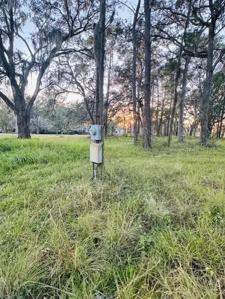 17481 Celia Avenue Brooksville FL 34604