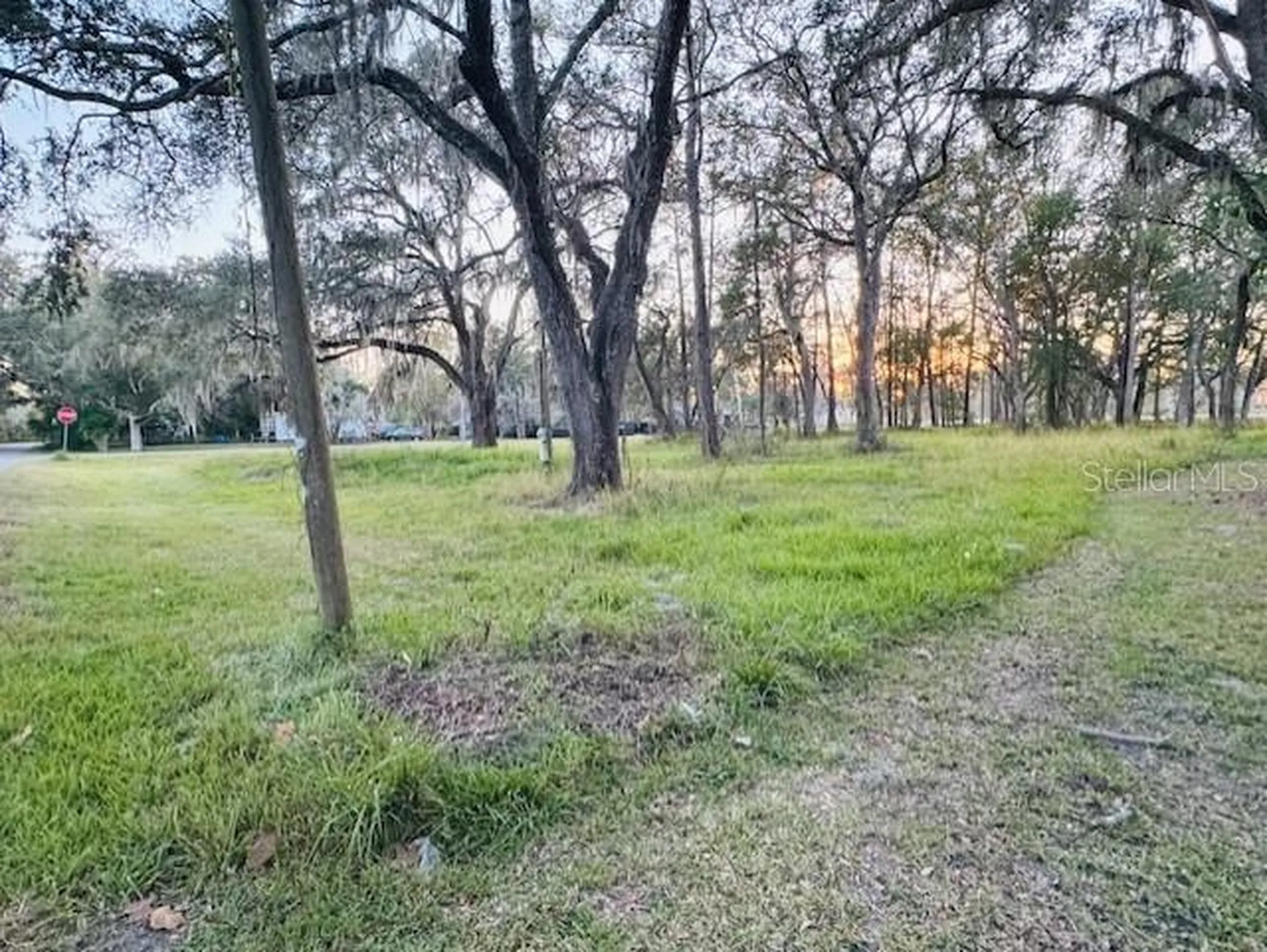 17481 Celia Avenue Brooksville FL 34604