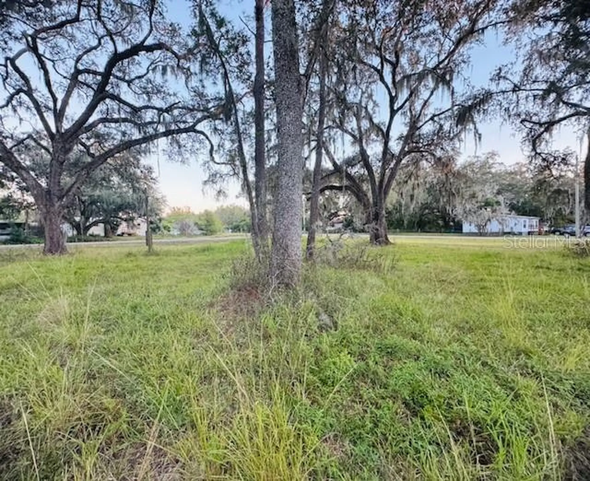 17481 Celia Avenue Brooksville FL 34604