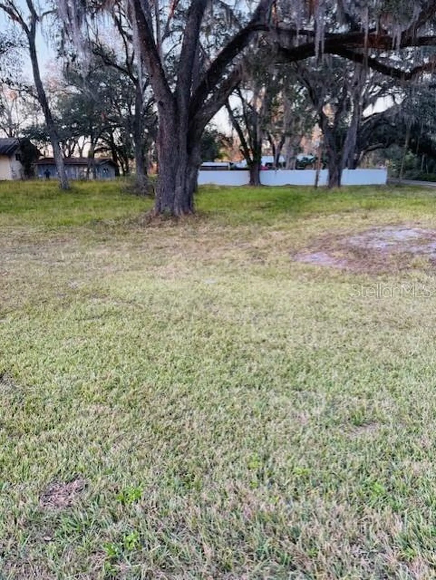 17481 Celia Avenue Brooksville FL 34604