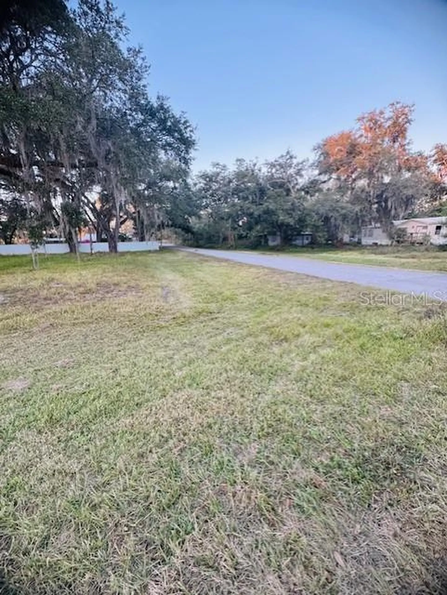 17481 Celia Avenue Brooksville FL 34604