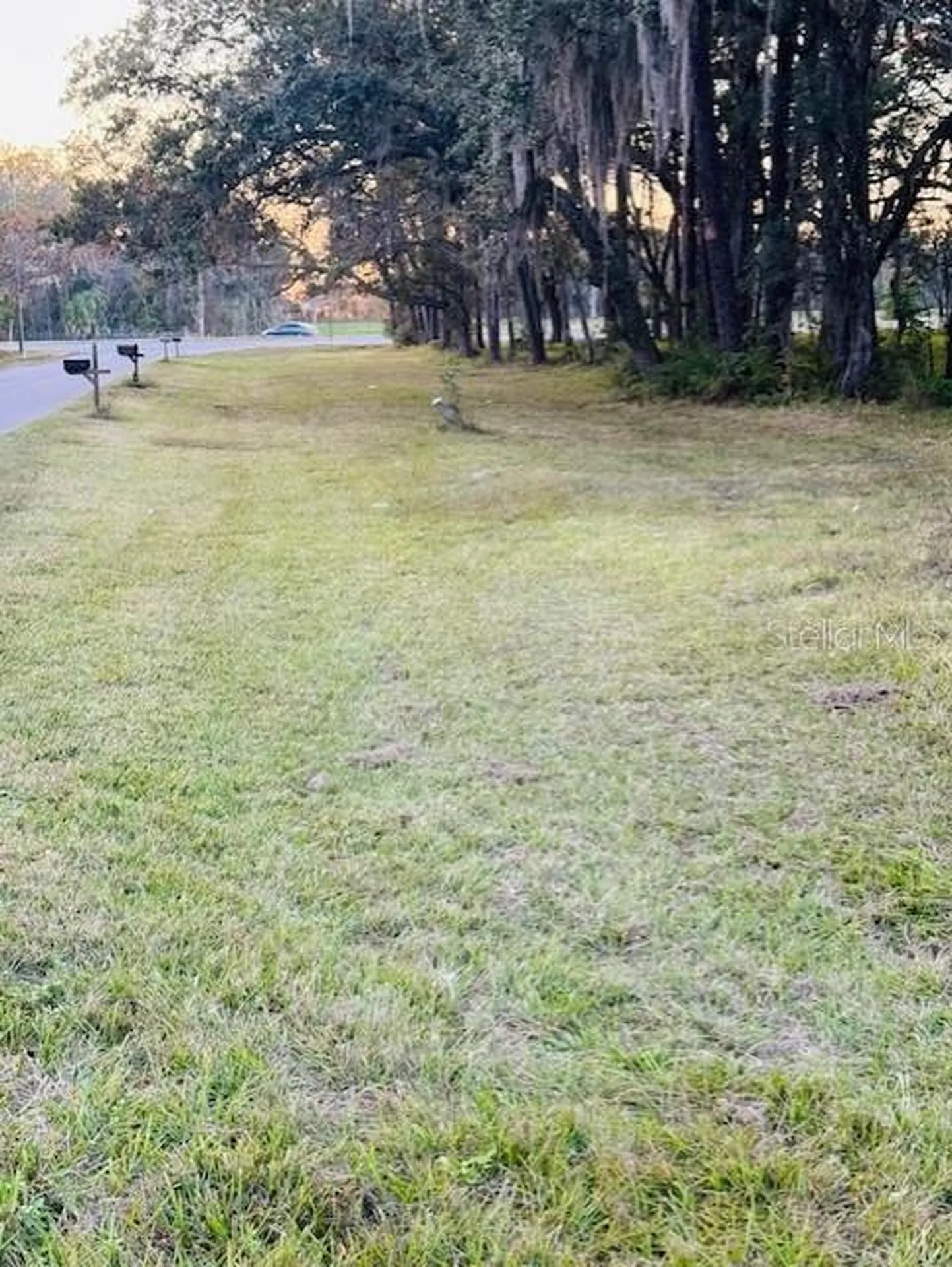 17481 Celia Avenue Brooksville FL 34604