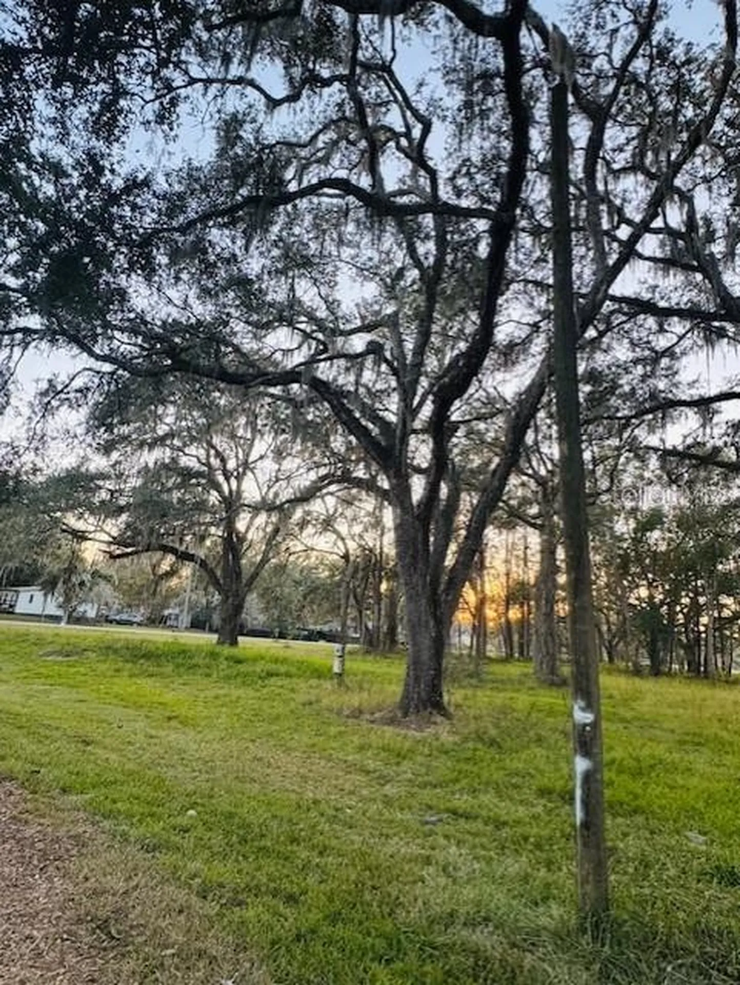 17481 Celia Avenue Brooksville FL 34604