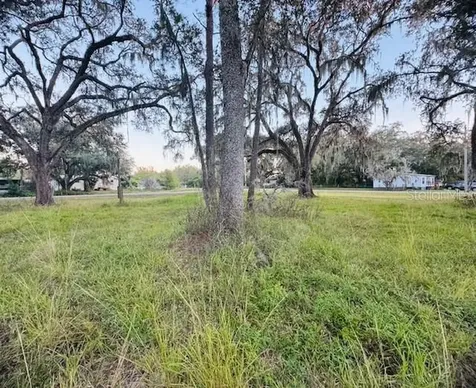 17481 Celia Avenue Brooksville FL 34604