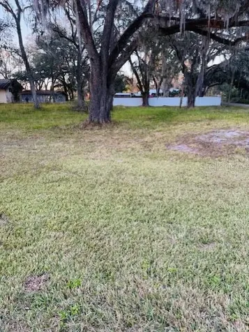 17481 Celia Avenue Brooksville FL 34604