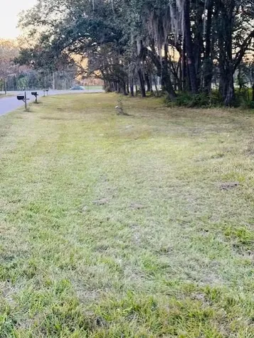 17481 Celia Avenue Brooksville FL 34604