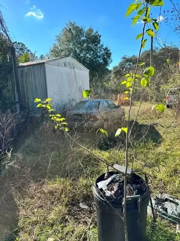 3533 NE 59th Terrace Silver Springs FL 34488