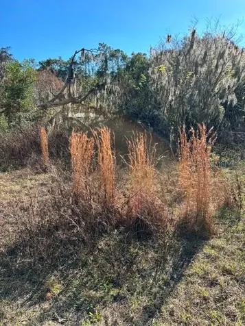 3533 NE 59th Terrace Silver Springs FL 34488