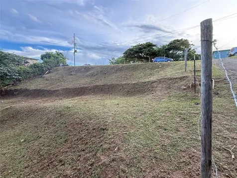 31 Samuel Felix Vieques PR 00765