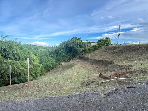 31 Samuel Felix Vieques PR 00765