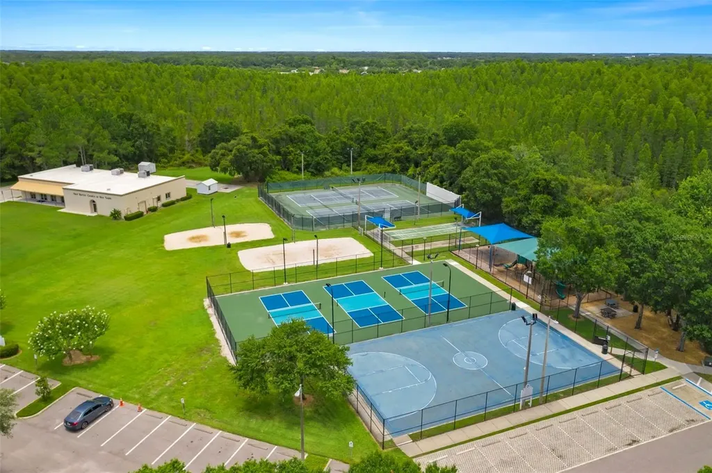 30927 Whitlock Drive Wesley Chapel FL 33543