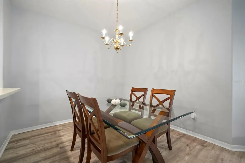 30927 Whitlock Drive Wesley Chapel FL 33543