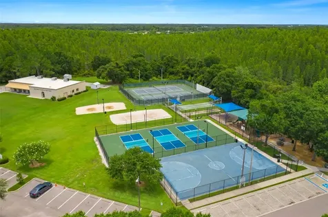 30927 Whitlock Drive Wesley Chapel FL 33543