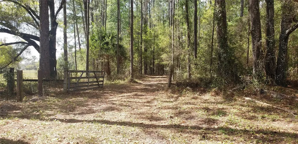 NW 115th Avenue Reddick FL 32686