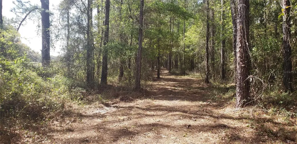NW 115th Avenue Reddick FL 32686
