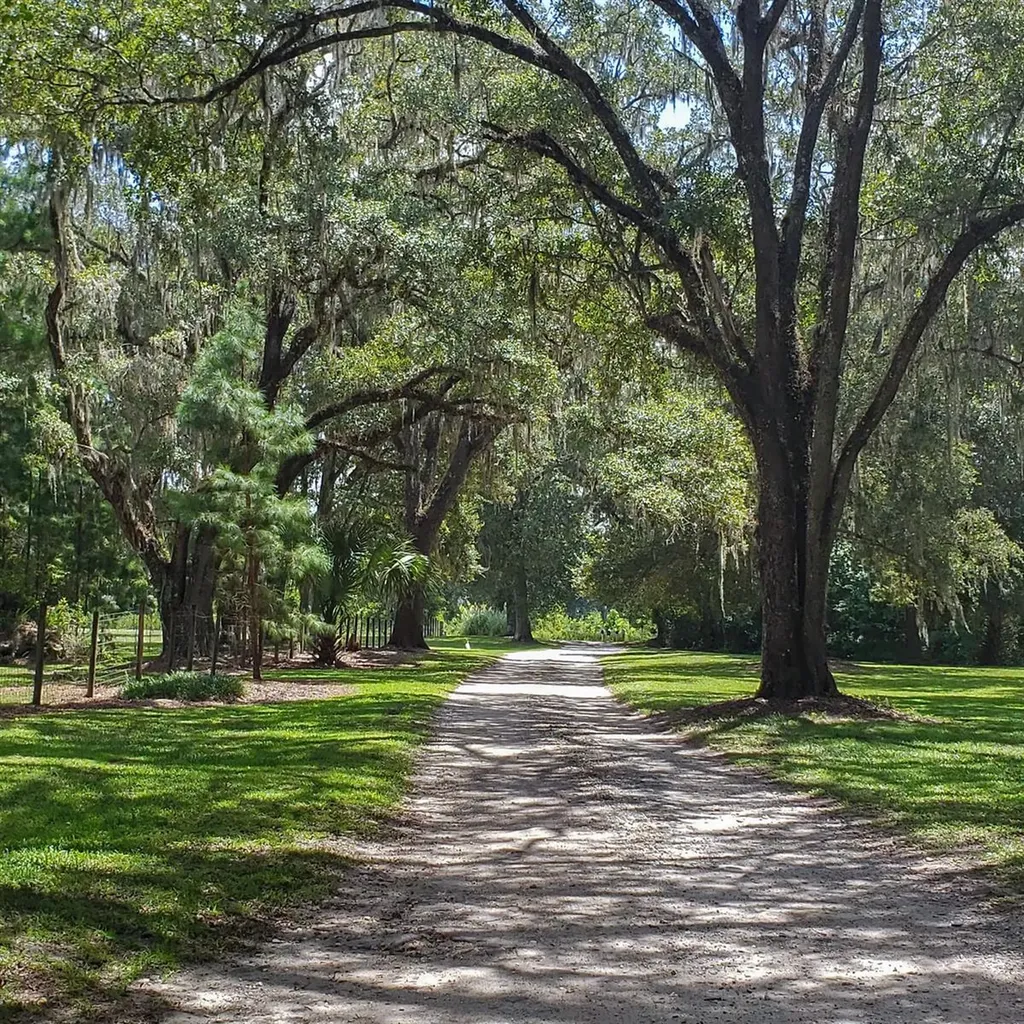 NW 115th Avenue Reddick FL 32686