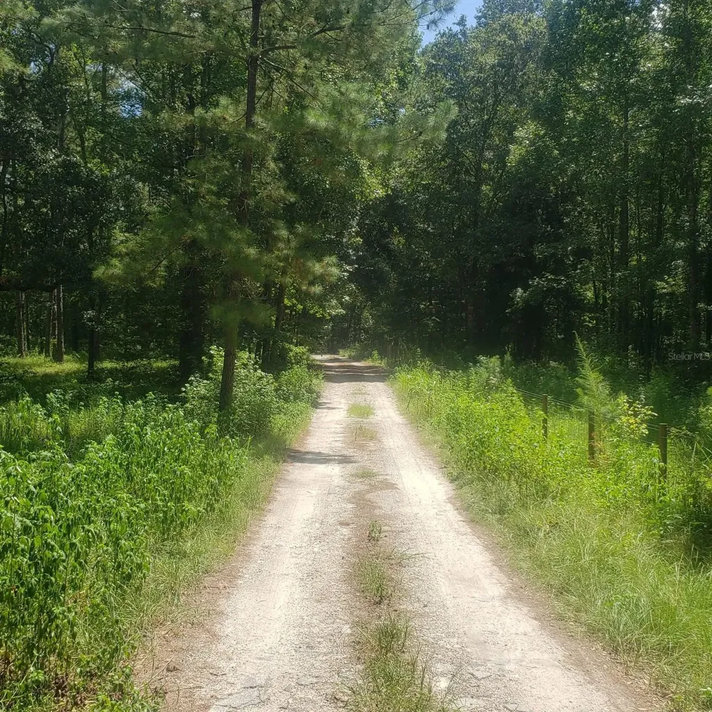 NW 115th Avenue Reddick FL 32686