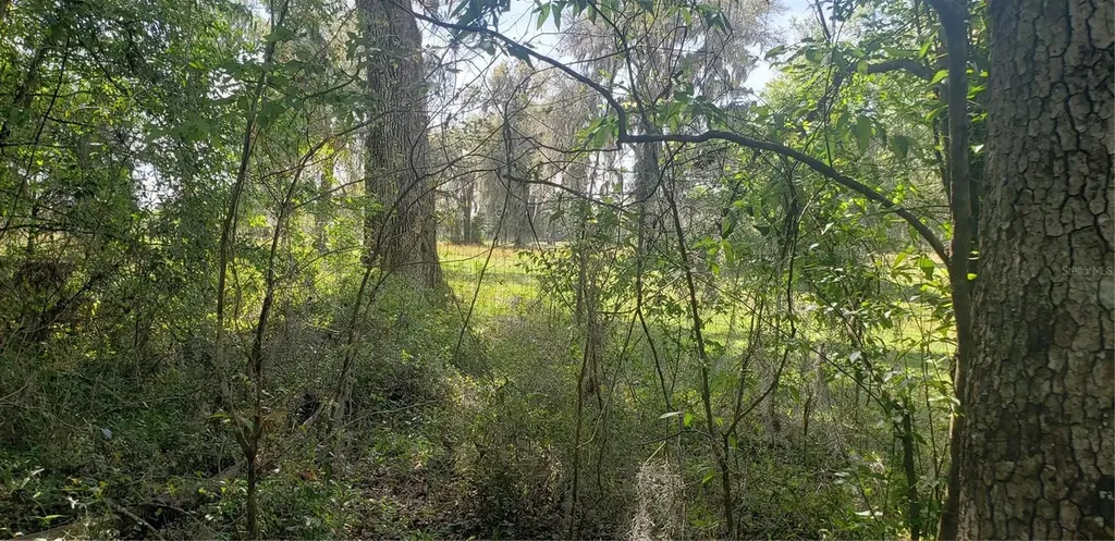 NW 115th Avenue Reddick FL 32686
