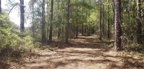NW 115th Avenue Reddick FL 32686