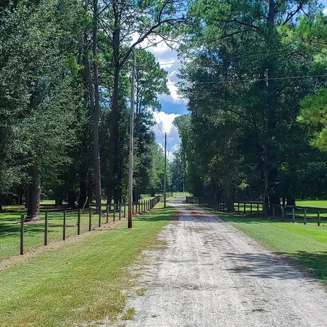 NW 115th Avenue Reddick FL 32686