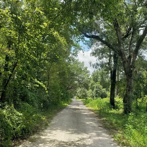 NW 115th Avenue Reddick FL 32686