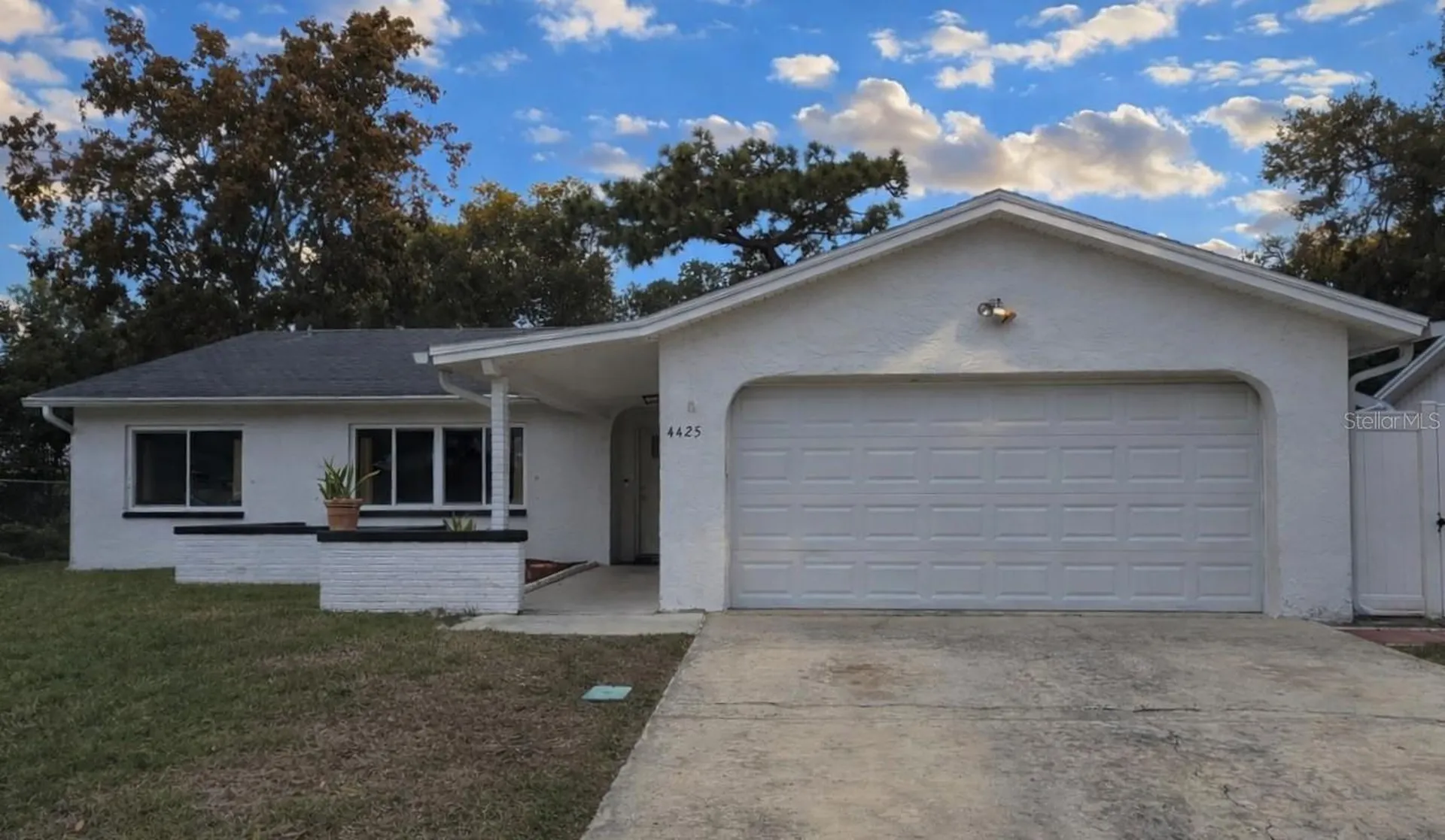 4425 Black Fox Drive New Port Richey FL 34653