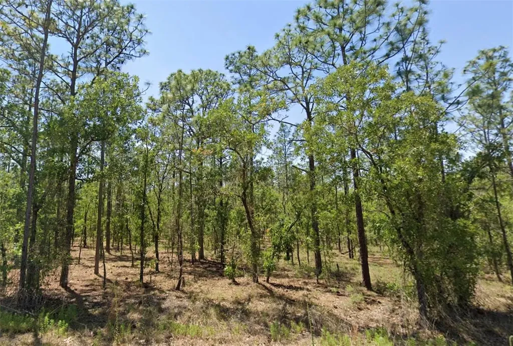 00 NW Narcissus Road Dunnellon FL 34431