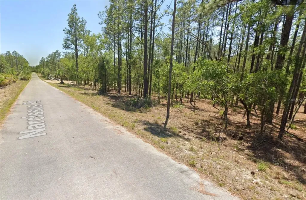 00 NW Narcissus Road Dunnellon FL 34431