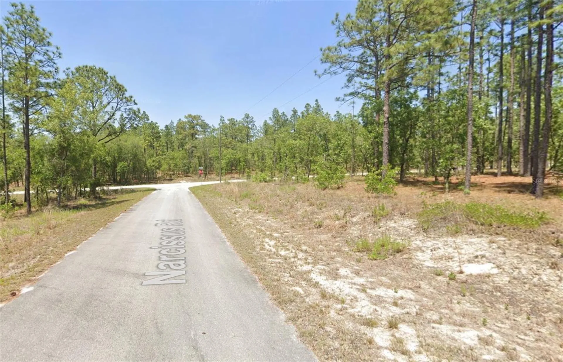 00 NW Narcissus Road Dunnellon FL 34431