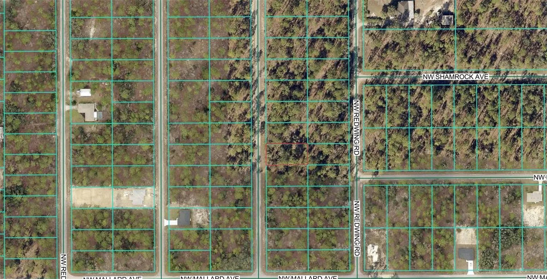 00 NW Narcissus Road Dunnellon FL 34431