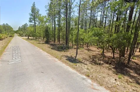 00 NW Narcissus Road Dunnellon FL 34431