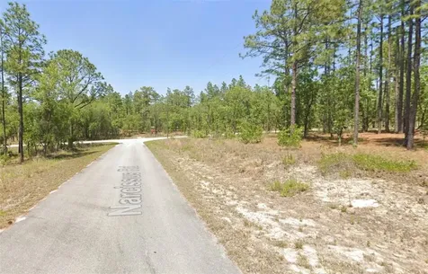 00 NW Narcissus Road Dunnellon FL 34431