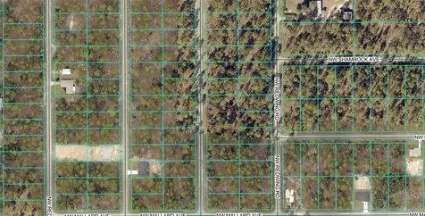 00 NW Narcissus Road Dunnellon FL 34431