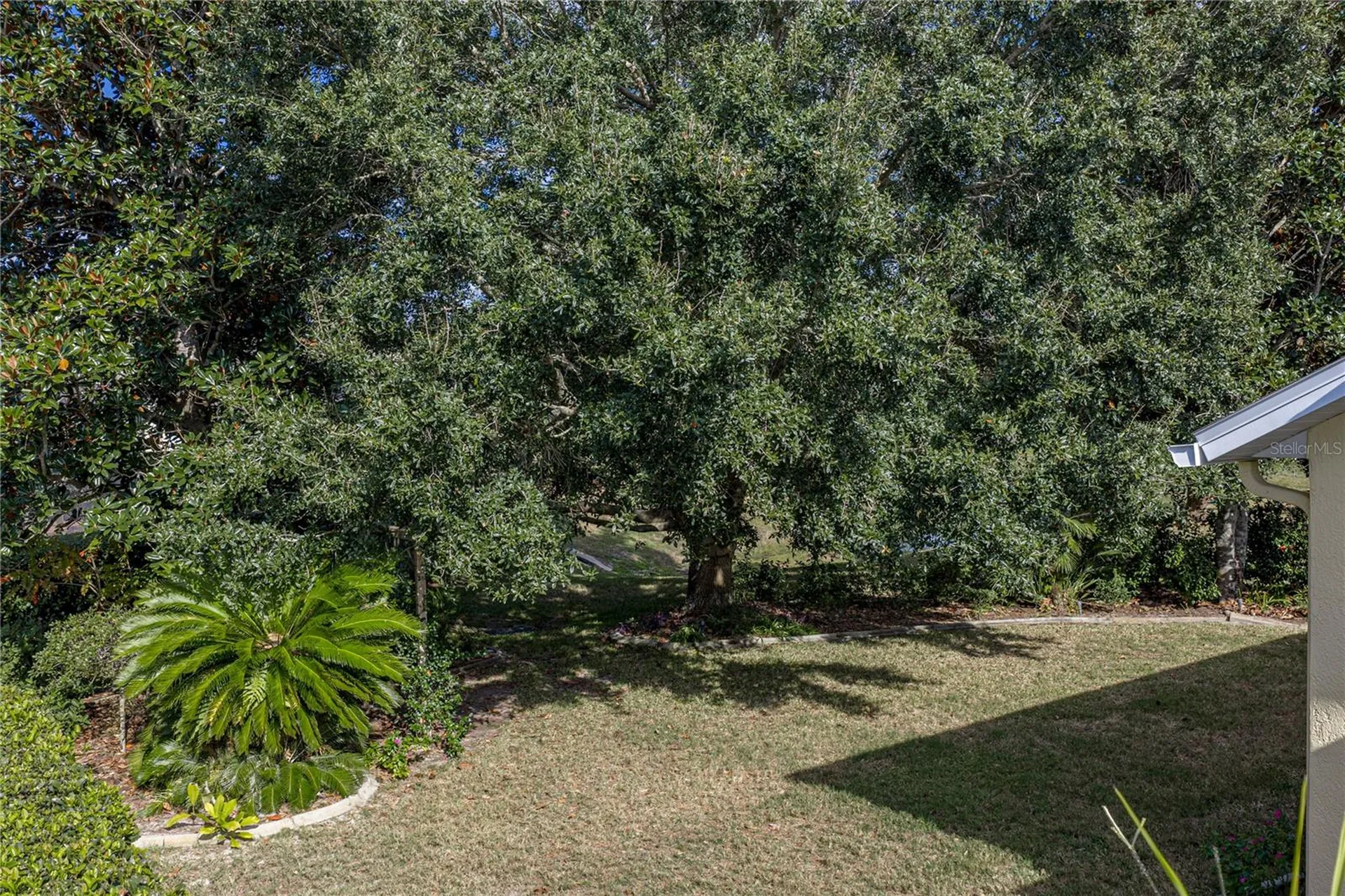 8725 Mississippi Run Spring Hill FL 34613