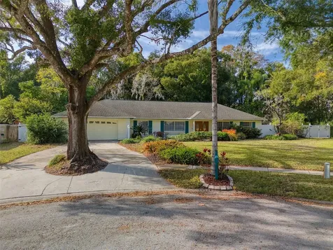 15715 Almondwood Drive Tampa FL 33613