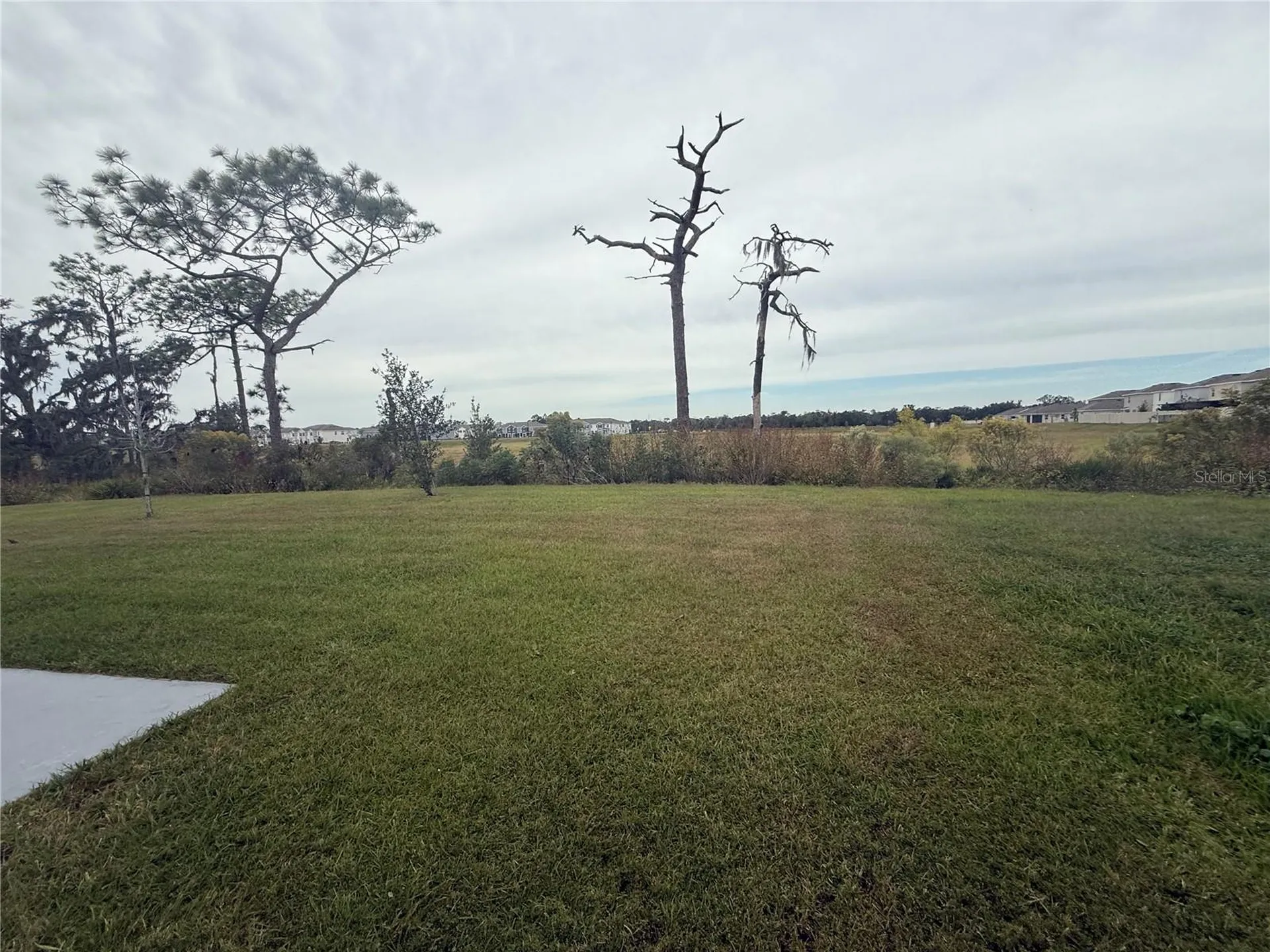 5643 Hollingworth Trail Wesley Chapel FL 33545