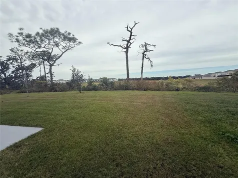 5643 Hollingworth Trail Wesley Chapel FL 33545
